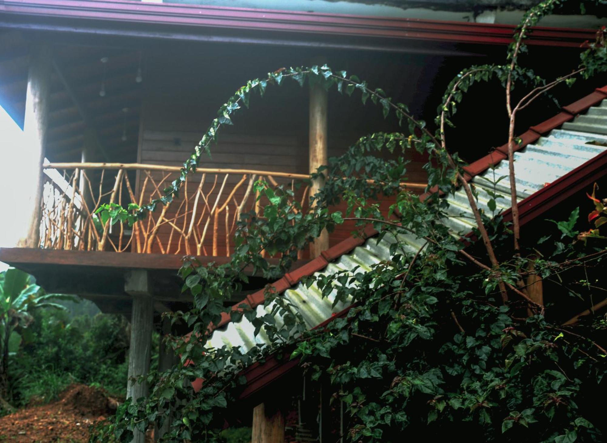 The Dream Inn Ella Εξωτερικό φωτογραφία